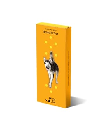 DNA MY DOG Essential + Wolf Breed ID Test– Trusted & Affordable Breed + Wolf Test | 350+ Breeds Identified w/ 99%+ Accuracy | Complete Breed Analysis + Wolf, Personality | Results in 2 Weeks