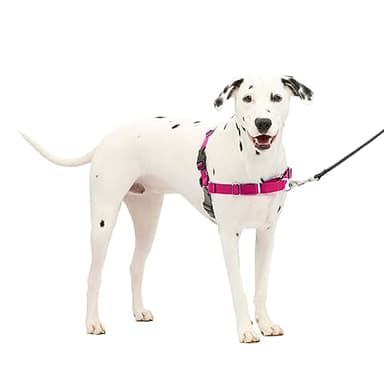 Petsafe Easy Walk Dog Harness, No Pull Dog Harness, Raspberry/Gray, Medium/Large(Pack of 1)