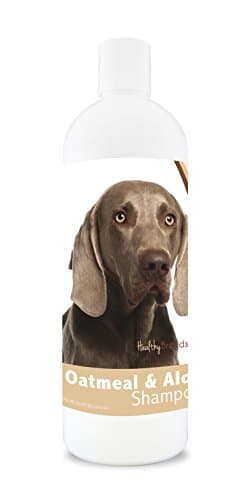 Healthy Breeds Aloe & Oatmeal Dog Shampoo Flea and Tick for Weimaraner - OVER 200 BREEDS - 16 oz - Mild & Gentle for Sensitive Skin - Hypoallergenic Formula & pH Balanced