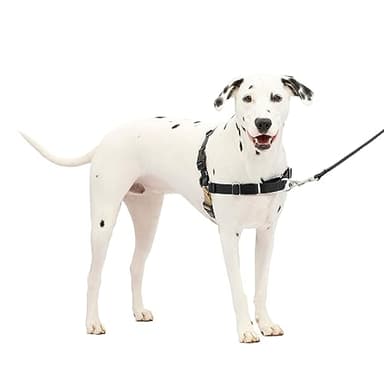 PetSafe Easy Walk Harness, No Pull Harness for Dogs, Adjustable Harness with Included Matching Lead, Black Medium Large