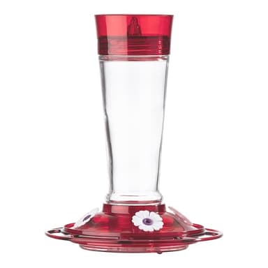 More Birds 35IN-RUB Bird Health Ruby Glass Hummingbird Feeder with Ant Moat - 10 oz