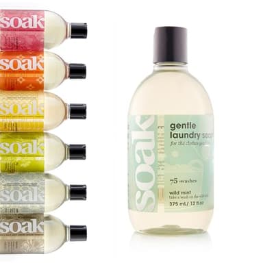 Soak Laundry Soap – No Rinse, Made in Canada, Plant-Derived Hand Wash Detergent - 375 ml / 12 fl. oz, 75+ Washes (Wild Mint)