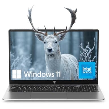 ACEMAGIC Laptop Intel N95 15.6-in 8GB DDR4 256GB SSD，Windows Laptops Ordinateur-Portable Notebook-Computer Intel Laptops，Numeric Keypad Win-11 Pro WiFi 5 HDMI Type-C Webcam 3.5mm Audio Office Laptops