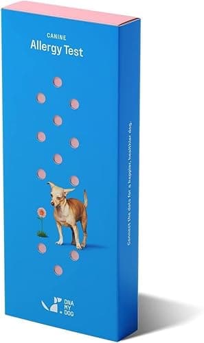 DNA MY DOG – Vet-Recommended & Accurate Allergy Test for Itchy, Sensitive Dogs | Cheek Swab – Gold Standard Testing | Tests Common Food & Environmental Allergens | Custom Report with Recommendations