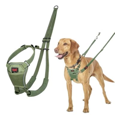 Halti No Pull Harness - Stop Your Dog Pulling on The Leash. Adjustable, Lightweight and Easy to Use. Reflective Dog Training Harness for Medium Dogs (Size M, Forest Green)