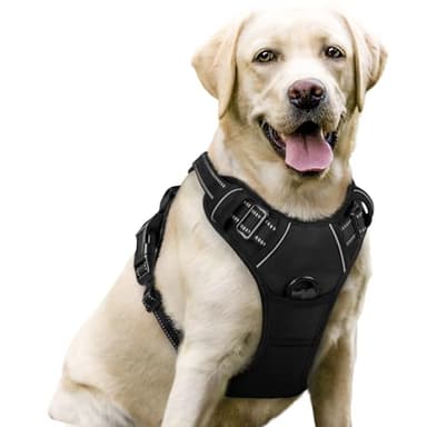 rabbitgoo Dog Harness, No-Pull Pet Harness with 2 Leash Clips, Adjustable Soft Padded Vest, Reflective No-Choke Pet Oxford Vest with Easy Control Handle for Large Dogs, Black, L