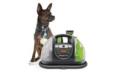 Little Green Portable Carpet Cleaner 3369 (Renewed)