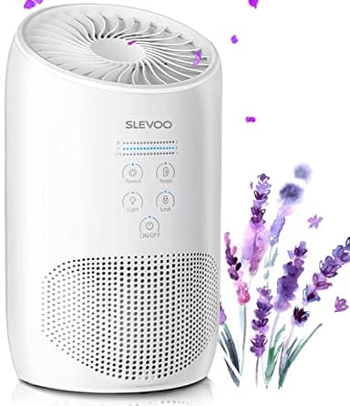 Air Purifiers for Home Pets Smokers in Bedroom, H13 True HEPA Filter Air Cleaner with Fragrance Sponge, Lock Set, 100% Ozone Free, Effectively Clean 99.97% of Dust, Smoke, Pets Dander, Pollen, Odors